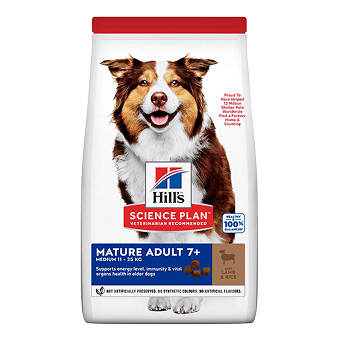 Hill's Science Plan - Chien Senior - Agneau
