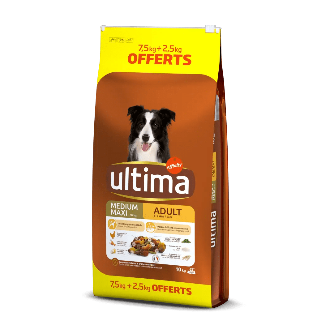 Ultima - Adulte - Medium Maxi